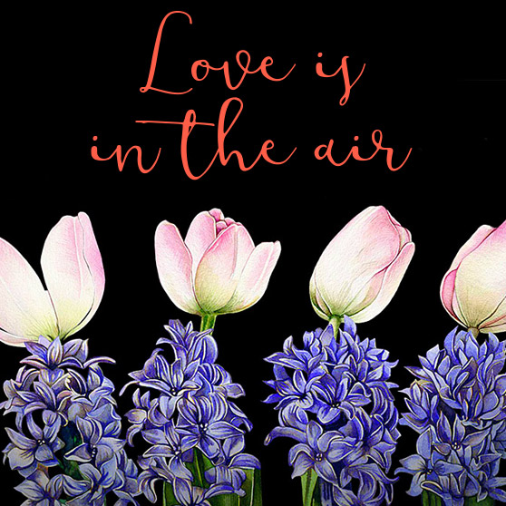 Ojolie eCards, animated eCards, Online Greeting Cards for Birthday